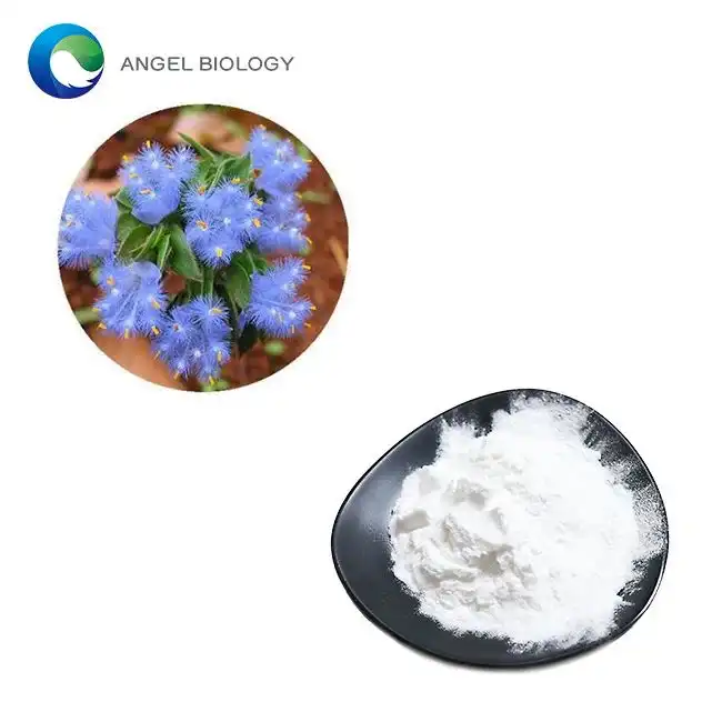 Beta-Ecdysterone Powder
